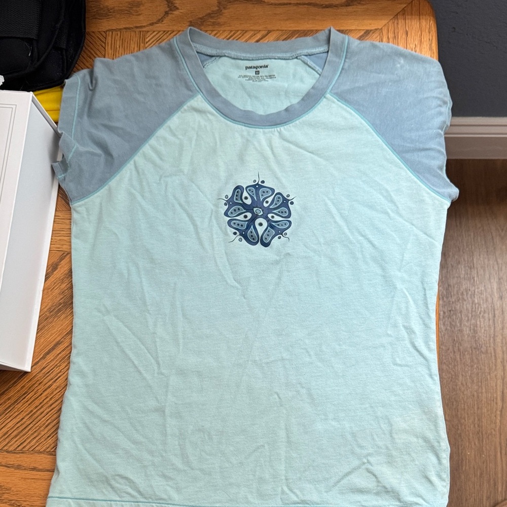 Patagonia Light Aqua and Seafoam Raglan Graphic Tee